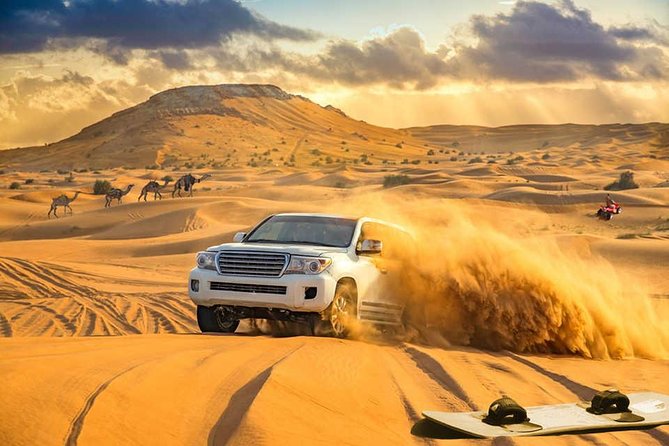 Desert Safari Tours